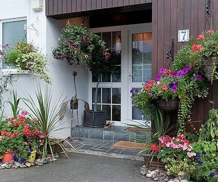 Guesthouse Topos St Austell Exteriör bild